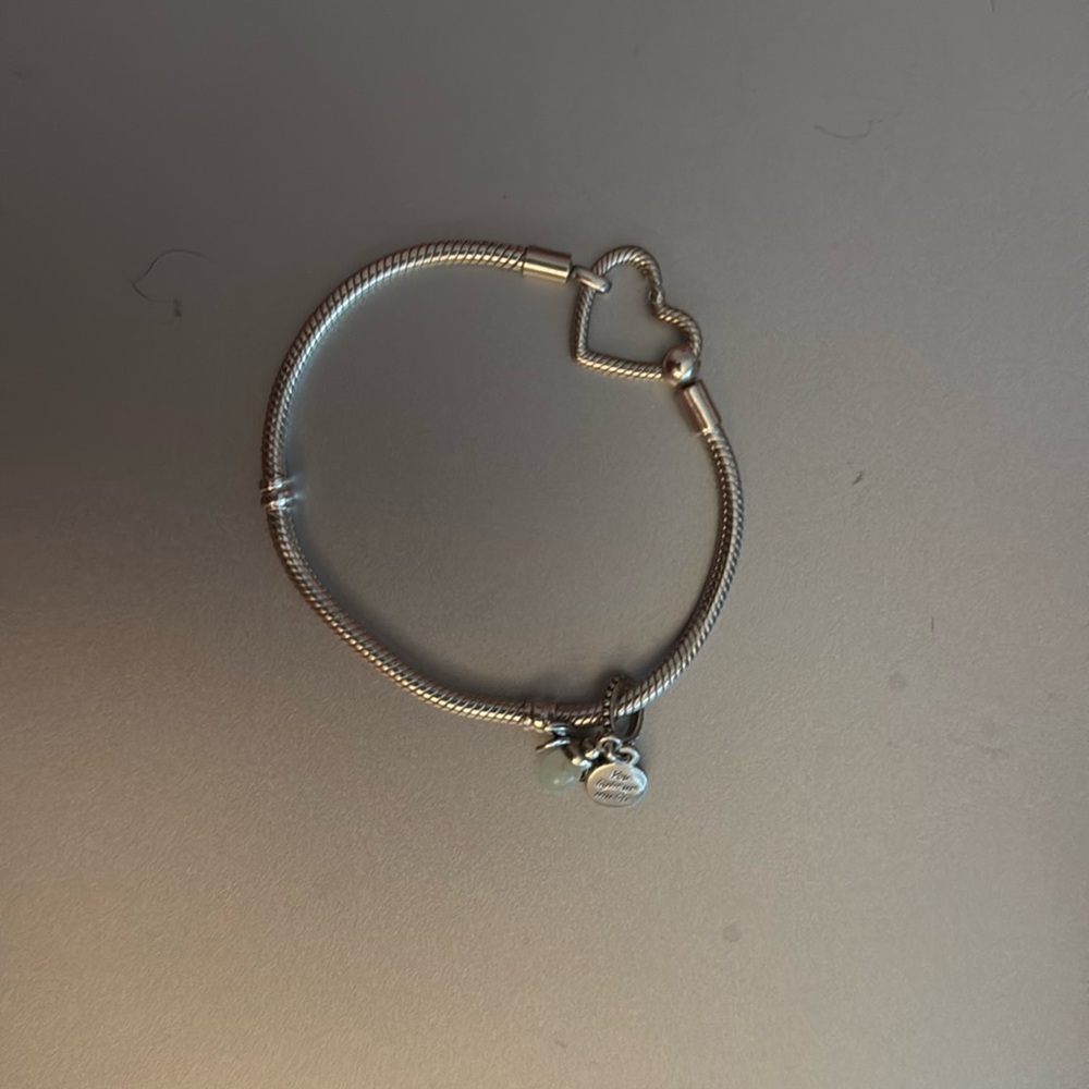 Silver Pandora Bracelet
